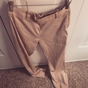 Blush dress pants